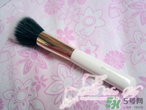 bloomy老爺家化妝刷哪款好？bloomy化妝刷推薦