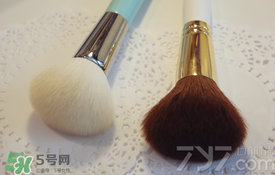 受受狼是哪個國家的？受受狼化妝刷推薦