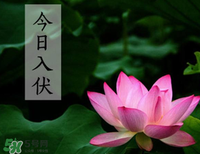 2017年頭伏是哪一天？2017年什么時候入伏？