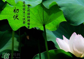 2017年頭伏是哪一天？2017年什么時候入伏？