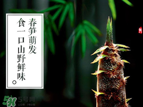 春筍多少錢一斤？春筍多少錢一斤2017？