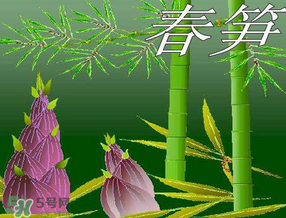 春筍多少錢一斤？春筍多少錢一斤2017？