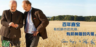 喜寶米粉怎么樣？喜寶米粉如何？