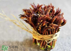 香椿幾月份可以吃？香椿什么時候吃？