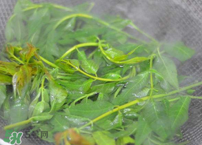 香椿為什么要焯水？香椿怎么焯水？