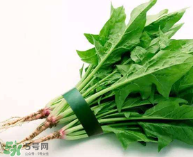 孕婦可以吃菠菜嗎？孕婦菠菜吃多了會(huì)怎樣？