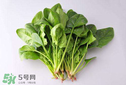 孕婦可以吃菠菜嗎？孕婦菠菜吃多了會(huì)怎樣？