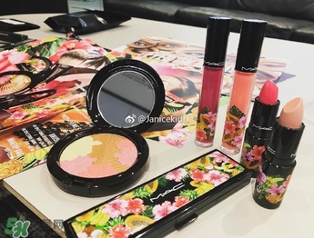 mac2017夏季fruity juicy系列有哪些？