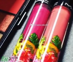 mac2017夏季fruity juicy系列有哪些？