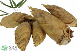 竹筍什么時(shí)候長出來？竹筍幾月份長出來？