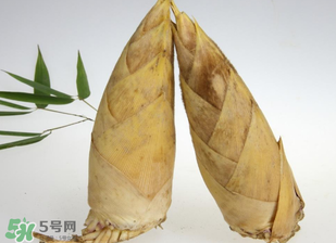 竹筍什么時(shí)候長出來？竹筍幾月份長出來？