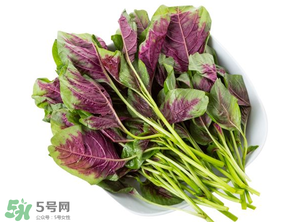 孕婦能吃莧菜嗎？孕婦可以吃莧菜嗎？