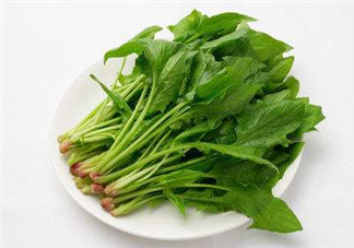 孕婦可以吃菠菜嗎？孕婦菠菜吃多了會(huì)怎樣？