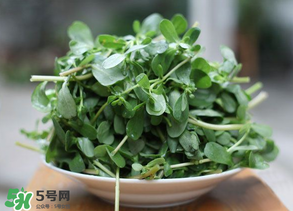 馬齒莧能治白發(fā)嗎？馬齒莧可以治白發(fā)嗎？