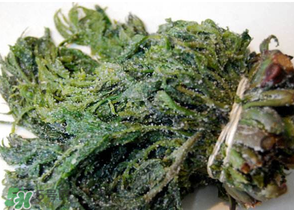 香椿腌制多久可以吃？香椿腌多長時間能吃？
