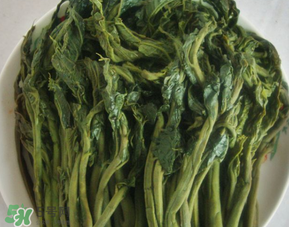 香椿腌制多久可以吃？香椿腌多長時間能吃？