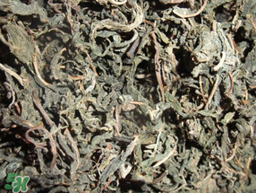 香椿可以曬干嗎？香椿怎么曬干？