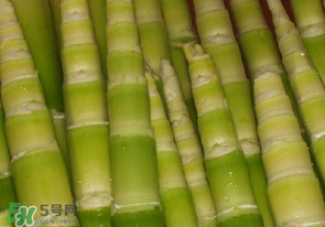 竹筍不焯水有毒嗎？竹筍不過(guò)水能吃嗎？