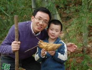 竹筍什么時候挖？竹筍幾月挖？