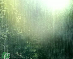 四月份會一直下雨嗎？2017年四月份為什么一直下雨？