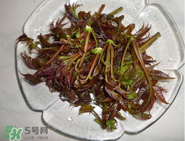 涼拌香椿要過水嗎？香椿涼拌前需要用開水焯一下嗎？