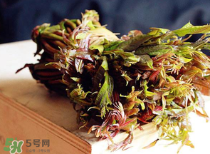 香椿很貴嗎？香椿為什么那么貴？