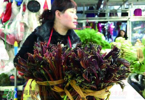 香椿很貴嗎？香椿為什么那么貴？