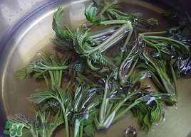 香椿為什么要用開水燙？香椿用開水燙多久？