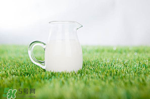 香椿可以和牛奶一起吃嗎？香椿和牛奶能一起吃嗎？