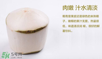 孕婦能不能喝椰青？椰青孕婦能喝嗎？