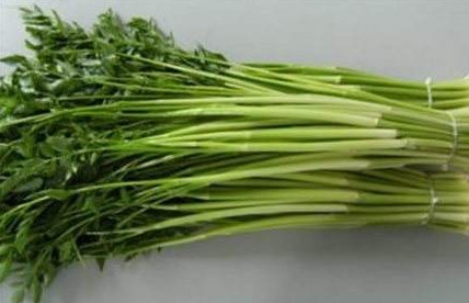 水芹菜是什么菜？水芹菜是野芹菜嗎