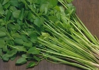水芹菜是什么菜？水芹菜是野芹菜嗎