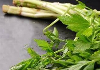 水芹菜的葉子可以吃嗎？水芹菜葉子能吃嗎