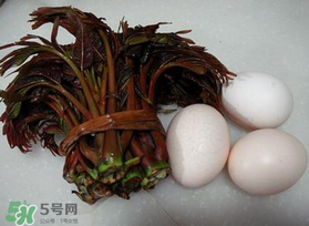 哺乳期可以吃香椿炒雞蛋嗎？哺乳期可以吃香椿炒雞蛋嗎？