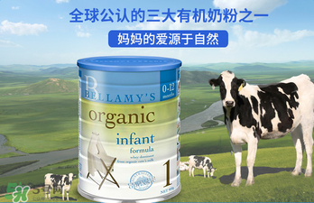 貝拉米奶粉報價多少？貝拉米奶粉價格多少？