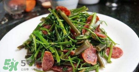 水芹菜孕婦能吃嗎？懷孕的人可以吃水芹菜嗎