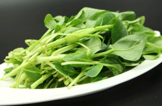 雞毛菜是什么菜？雞毛菜是小白菜嗎