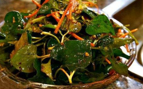 魚腥草根和葉哪個好？魚腥草根好還是葉子好