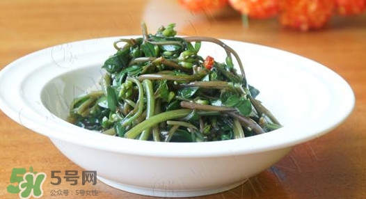 馬莧菜怎么吃？馬莧菜怎么做好吃