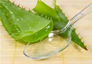 孕婦能喝蘆薈汁嗎？孕婦可以喝蘆薈汁嗎？