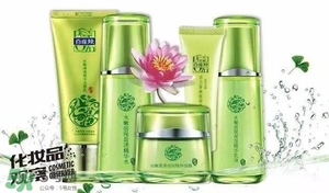 一葉子和百雀羚哪個(gè)好？一葉子和百雀羚面膜對(duì)比