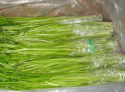 水芹菜如何保鮮？水芹菜怎么保鮮