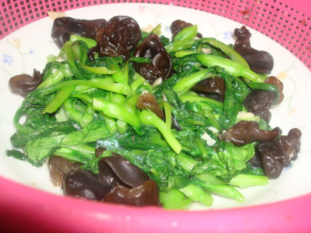 雞毛菜是什么菜？雞毛菜是小白菜嗎