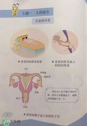 孩子瀏覽成人網(wǎng)站怎么辦？小學(xué)性教育有沒有必要？
