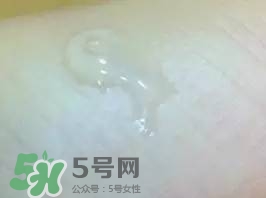 一葉子和百雀羚哪個(gè)好？一葉子和百雀羚面膜對(duì)比
