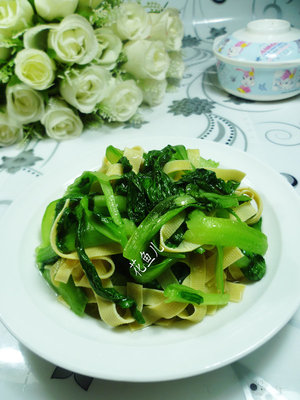 雞毛菜是什么菜？雞毛菜是小白菜嗎