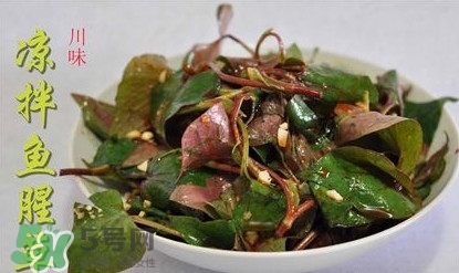 吃魚腥草可以喝酒嗎？吃魚腥草能喝酒嗎