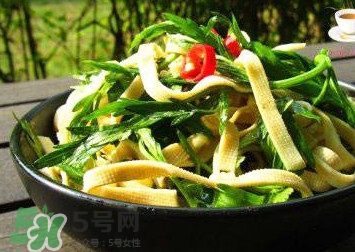 水芹菜的葉子可以吃嗎？水芹菜葉子能吃嗎