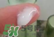 一葉子和百雀羚哪個(gè)好？一葉子和百雀羚面膜對(duì)比