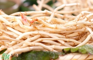 新鮮魚腥草怎么煮水？魚腥草怎么煮水喝